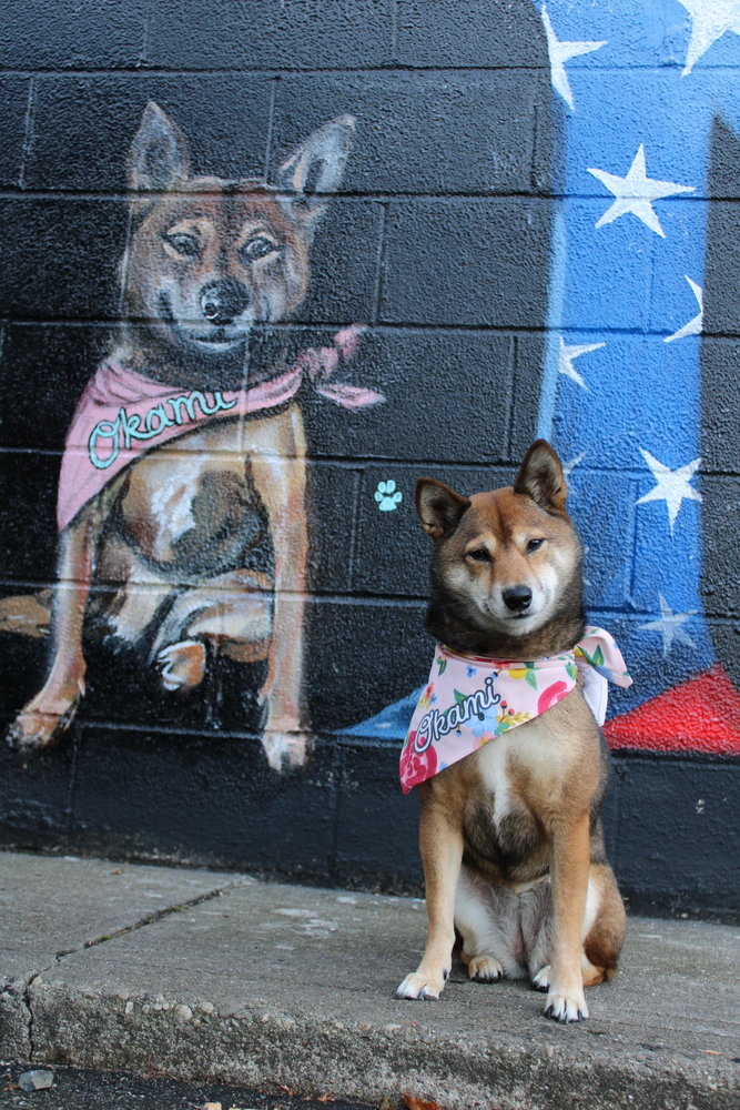 Faithful and patient Okami, Parker’s shiba inu, was immortalized in this mural in honor of her constant presence and being such a good girl during Parker’s time working.